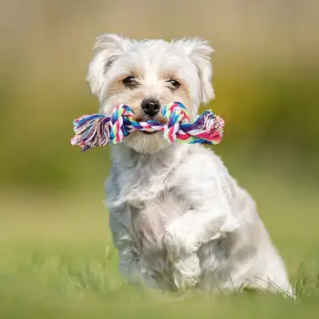 פעילות גופנית מקדמת את הכלב צעצוע כלב צעצוע לעיסה להגדיר עמיד חבל כותנה לחיות מחמד הכשרה צעצועי נשיכה עמיד כלב צעצוע למשחק לכלבים